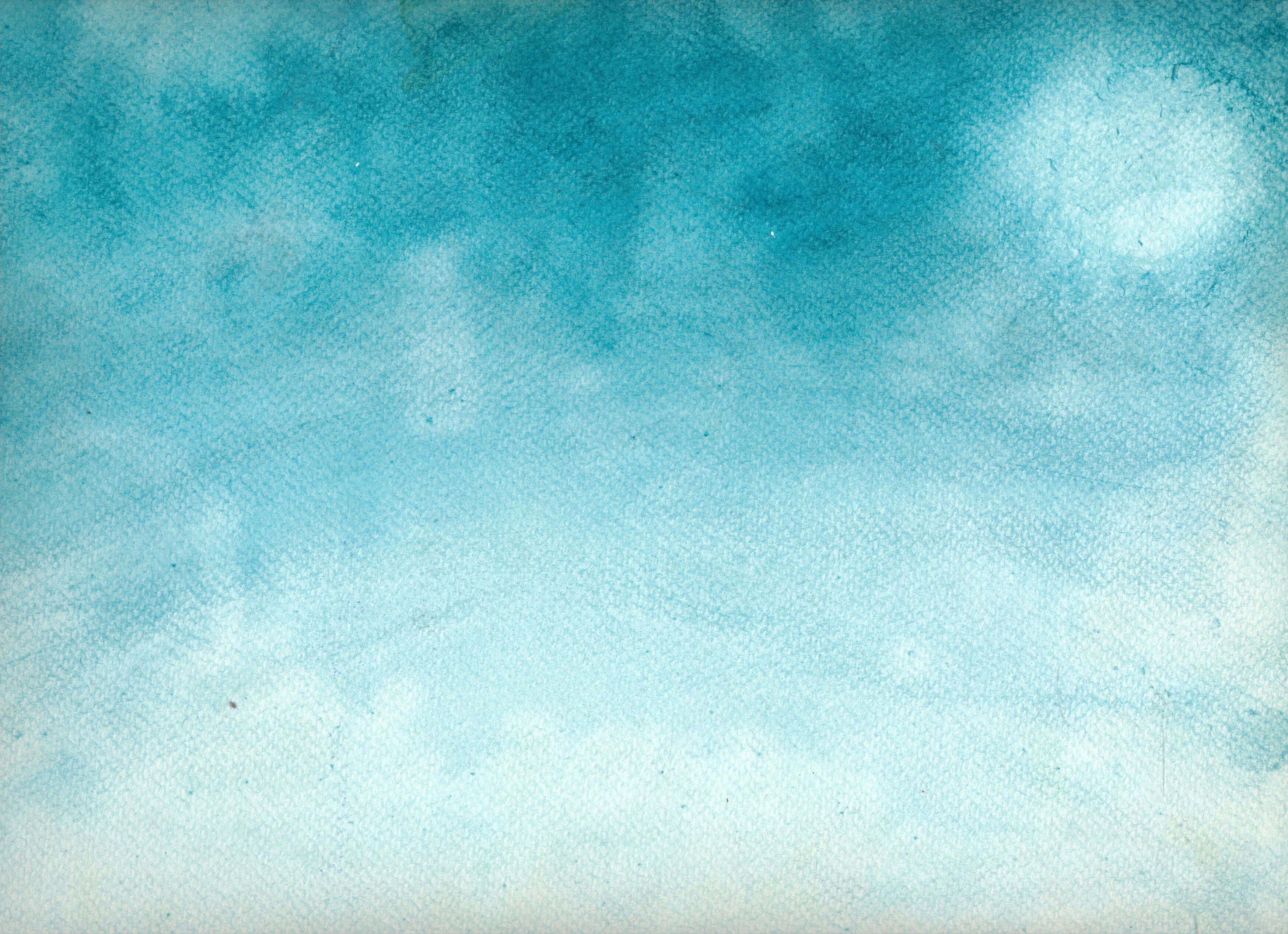 Tracy Fernbacher : Grade 3